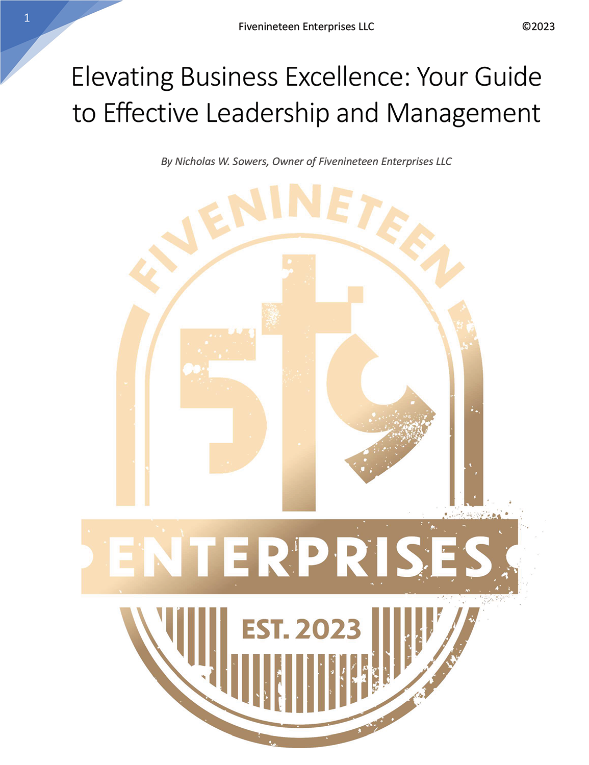 Elevating Business Excellence e-book cover page